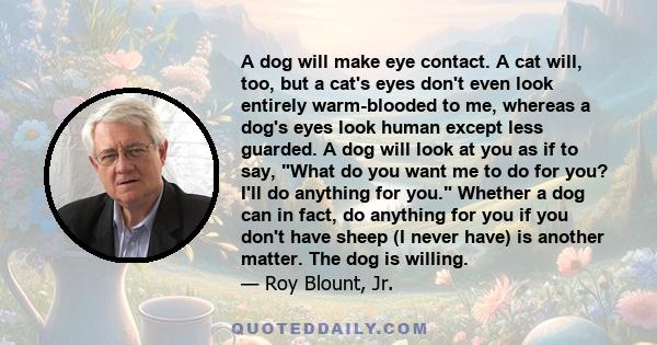 A dog will make eye contact. A cat will, too, but a cat's eyes don't even look entirely warm-blooded to me, whereas a dog's eyes look human except less guarded. A dog will look at you as if to say, What do you want me