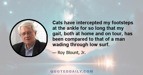 Cats have intercepted my footsteps at the ankle for so long that my gait, both at home and on tour, has been compared to that of a man wading through low surf.