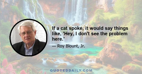 If a cat spoke, it would say things like, 'Hey, I don't see the problem here.'