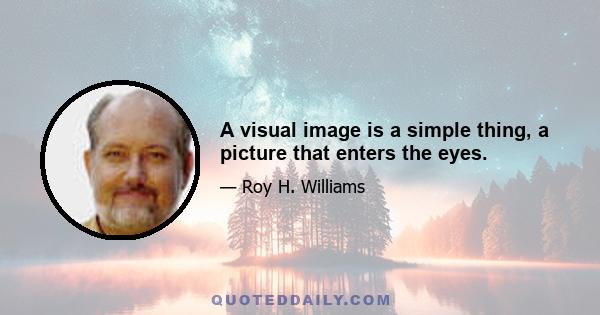 A visual image is a simple thing, a picture that enters the eyes.