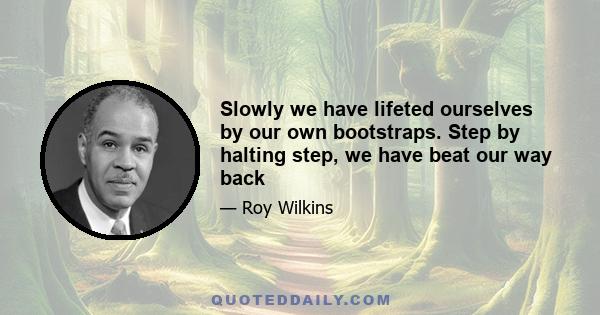 Slowly we have lifeted ourselves by our own bootstraps. Step by halting step, we have beat our way back