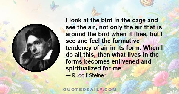 I look at the bird in the cage and see the air, not only the air that is around the bird when it flies, but I see and feel the formative tendency of air in its form. When I do all this, then what lives in the forms