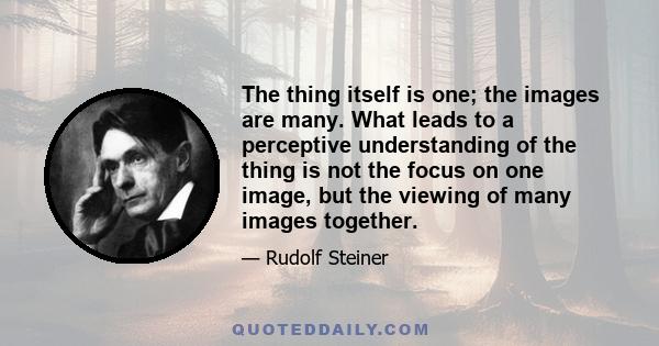 The thing itself is one; the images are many. What leads to a perceptive understanding of the thing is not the focus on one image, but the viewing of many images together.