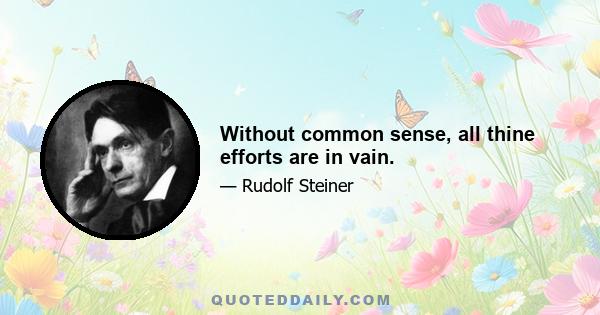 Without common sense, all thine efforts are in vain.