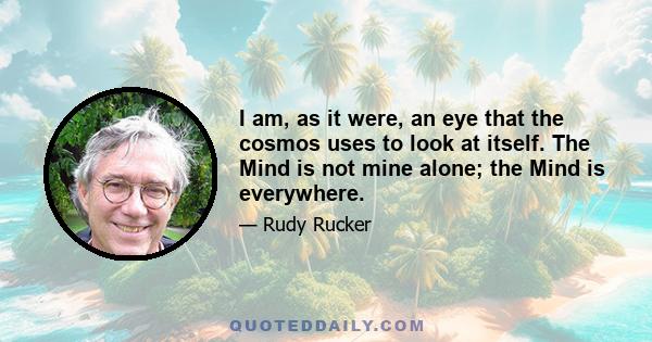 I am, as it were, an eye that the cosmos uses to look at itself. The Mind is not mine alone; the Mind is everywhere.