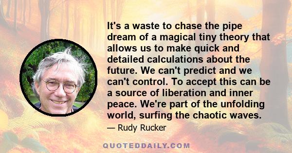 It's a waste to chase the pipe dream of a magical tiny theory that allows us to make quick and detailed calculations about the future. We can't predict and we can't control. To accept this can be a source of liberation