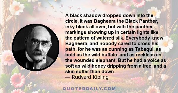 A black shadow dropped down into the circle. It was Bagheera the Black Panther, inky black all over, but with the panther markings showing up in certain lights like the pattern of watered silk. Everybody knew Bagheera,