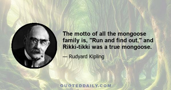 The motto of all the mongoose family is, Run and find out, and Rikki-tikki was a true mongoose.