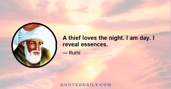 A thief loves the night. I am day. I reveal essences.