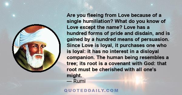 Are you fleeing from Love because of a single humiliation? What do you know of Love except the name? Love has a hundred forms of pride and disdain, and is gained by a hundred means of persuasion. Since Love is loyal, it 