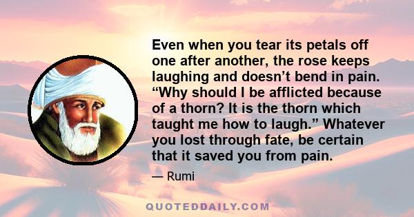 Even when you tear its petals off one after another, the rose keeps laughing and doesn’t bend in pain. “Why should I be afflicted because of a thorn? It is the thorn which taught me how to laugh.” Whatever you lost