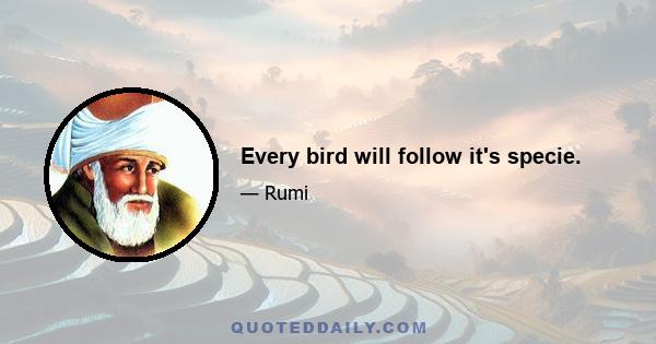 Every bird will follow it's specie.