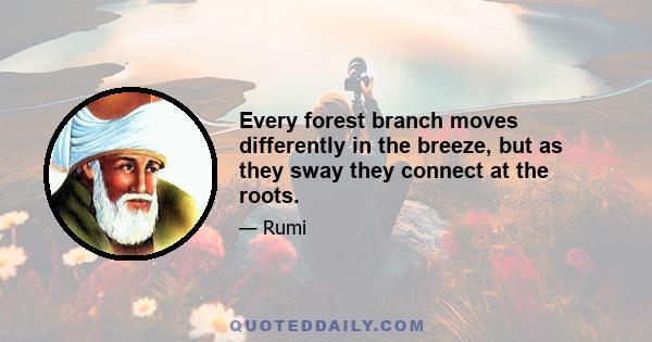 Every forest branch moves differently in the breeze, but as they sway they connect at the roots.