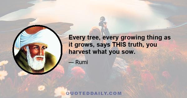 Every tree, every growing thing as it grows, says THIS truth, you harvest what you sow.