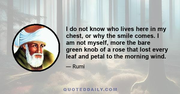 I do not know who lives here in my chest, or why the smile comes. I am not myself, more the bare green knob of a rose that lost every leaf and petal to the morning wind.