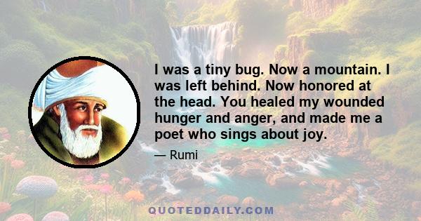 I was a tiny bug. Now a mountain. I was left behind. Now honored at the head. You healed my wounded hunger and anger, and made me a poet who sings about joy.