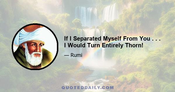 If I Separated Myself From You . . . I Would Turn Entirely Thorn!