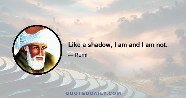 Like a shadow, I am and I am not.