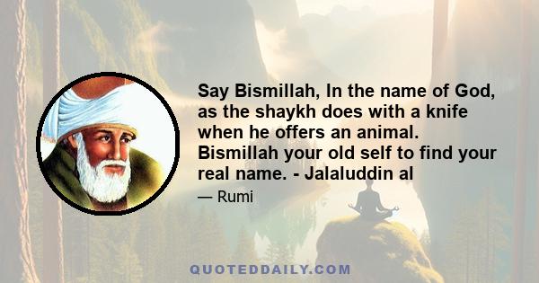 Say Bismillah, In the name of God, as the shaykh does with a knife when he offers an animal. Bismillah your old self to find your real name. - Jalaluddin al