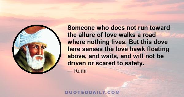 Someone who does not run toward the allure of love walks a road where nothing lives. But this dove here senses the love hawk floating above, and waits, and will not be driven or scared to safety.