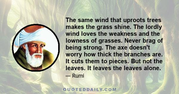 The same wind that uproots trees makes the grass shine. The lordly wind loves the weakness and the lowness of grasses. Never brag of being strong. The axe doesn't worry how thick the branches are. It cuts them to