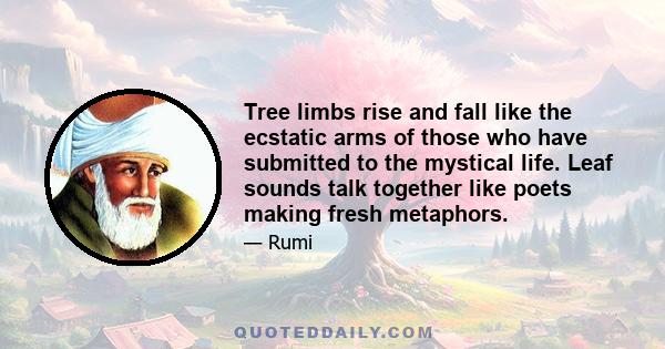 Tree limbs rise and fall like the ecstatic arms of those who have submitted to the mystical life. Leaf sounds talk together like poets making fresh metaphors.