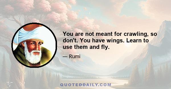 You are not meant for crawling, so don't. You have wings. Learn to use them and fly.