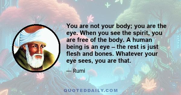 You are not your body; you are the eye. When you see the spirit, you are free of the body. A human being is an eye – the rest is just flesh and bones. Whatever your eye sees, you are that.