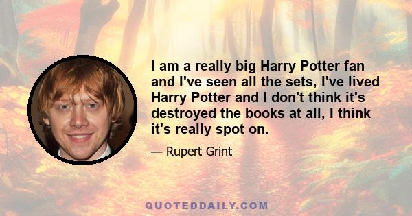 I am a really big Harry Potter fan and I've seen all the sets, I've lived Harry Potter and I don't think it's destroyed the books at all, I think it's really spot on.