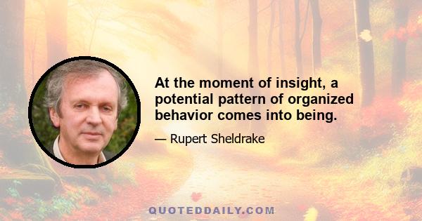 At the moment of insight, a potential pattern of organized behavior comes into being.