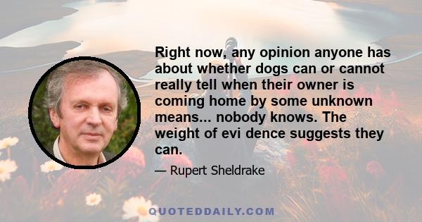 Right now, any opinion anyone has about whether dogs can or cannot really tell when their owner is coming home by some unknown means... nobody knows. The weight of evi dence suggests they can.