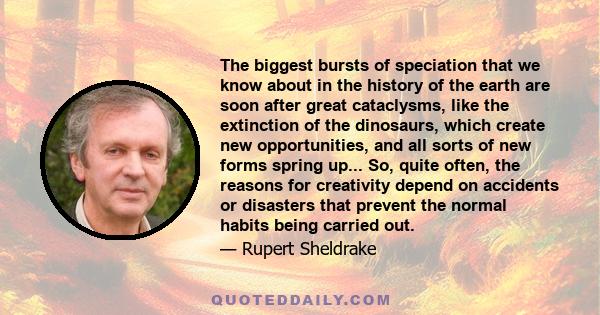 The biggest bursts of speciation that we know about in the history of the earth are soon after great cataclysms, like the extinction of the dinosaurs, which create new opportunities, and all sorts of new forms spring