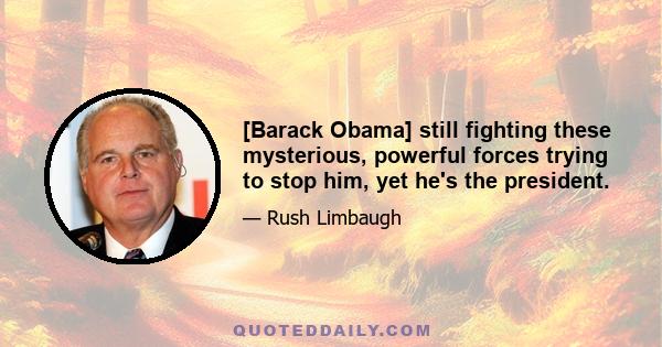 [Barack Obama] still fighting these mysterious, powerful forces trying to stop him, yet he's the president.