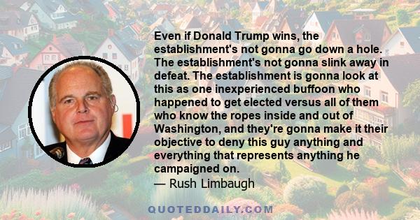 Even if Donald Trump wins, the establishment's not gonna go down a hole. The establishment's not gonna slink away in defeat. The establishment is gonna look at this as one inexperienced buffoon who happened to get