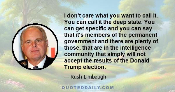 I don't care what you want to call it. You can call it the deep state. You can get specific and you can say that it's members of the permanent government and there are plenty of those, that are in the intelligence