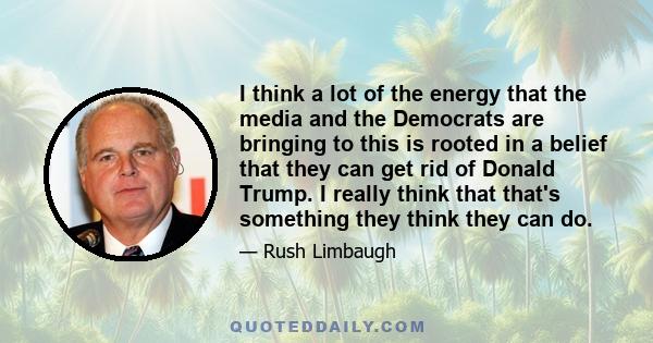 I think a lot of the energy that the media and the Democrats are bringing to this is rooted in a belief that they can get rid of Donald Trump. I really think that that's something they think they can do.