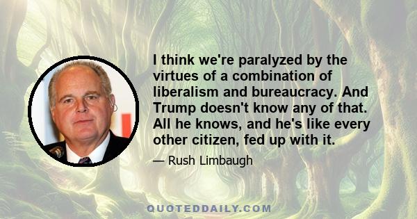 I think we're paralyzed by the virtues of a combination of liberalism and bureaucracy. And Trump doesn't know any of that. All he knows, and he's like every other citizen, fed up with it.