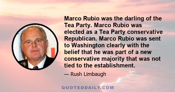 Marco Rubio was the darling of the Tea Party. Marco Rubio was elected as a Tea Party conservative Republican. Marco Rubio was sent to Washington clearly with the belief that he was part of a new conservative majority