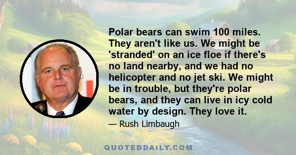 Polar bears can swim 100 miles. They aren't like us. We might be 'stranded' on an ice floe if there's no land nearby, and we had no helicopter and no jet ski. We might be in trouble, but they're polar bears, and they