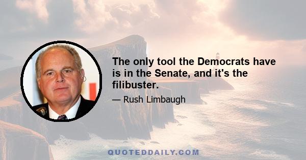 The only tool the Democrats have is in the Senate, and it's the filibuster.