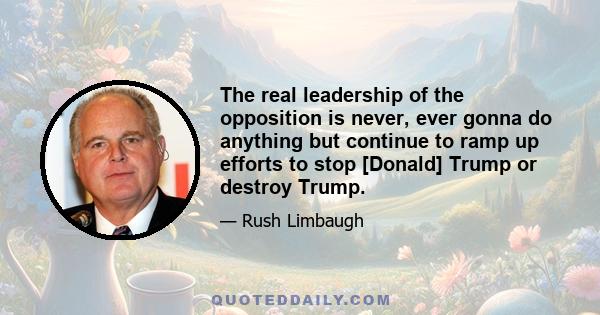 The real leadership of the opposition is never, ever gonna do anything but continue to ramp up efforts to stop [Donald] Trump or destroy Trump.