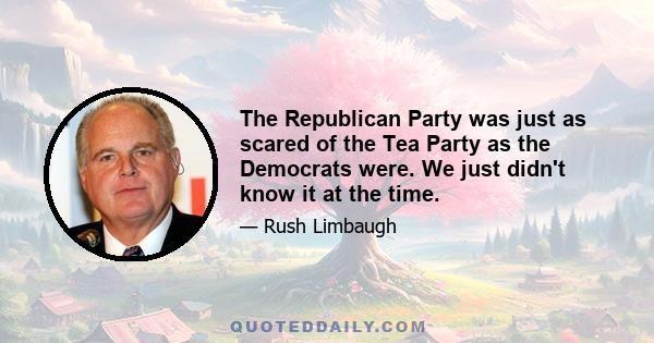 The Republican Party was just as scared of the Tea Party as the Democrats were. We just didn't know it at the time.