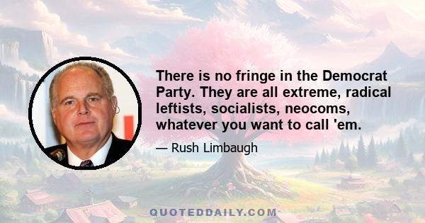 There is no fringe in the Democrat Party. They are all extreme, radical leftists, socialists, neocoms, whatever you want to call 'em.