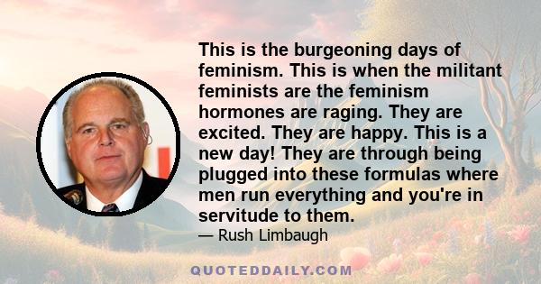 This is the burgeoning days of feminism. This is when the militant feminists are the feminism hormones are raging. They are excited. They are happy. This is a new day! They are through being plugged into these formulas