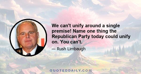 We can't unify around a single premise! Name one thing the Republican Party today could unify on. You can't.