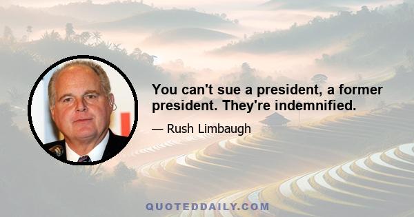 You can't sue a president, a former president. They're indemnified.