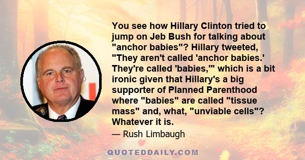 You see how Hillary Clinton tried to jump on Jeb Bush for talking about anchor babies? Hillary tweeted, They aren't called 'anchor babies.' They're called 'babies,' which is a bit ironic given that Hillary's a big