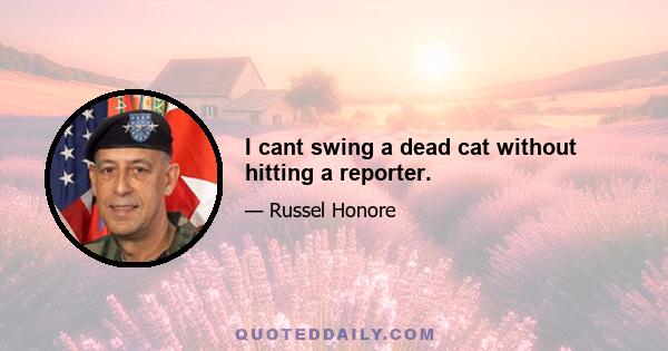 I cant swing a dead cat without hitting a reporter.