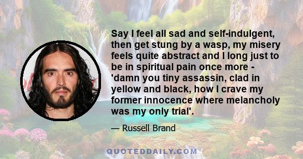 Say I feel all sad and self-indulgent, then get stung by a wasp, my misery feels quite abstract and I long just to be in spiritual pain once more - 'damn you tiny assassin, clad in yellow and black, how I crave my