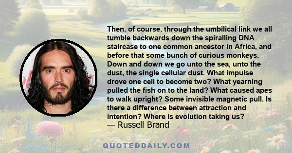 Then, of course, through the umbilical link we all tumble backwards down the spiralling DNA staircase to one common ancestor in Africa, and before that some bunch of curious monkeys. Down and down we go unto the sea,